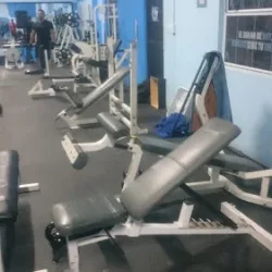 Force GYM
