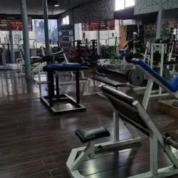 Gym Mr. Scorpion