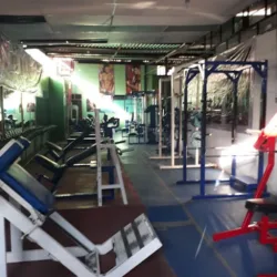 "GENESIS GYM"