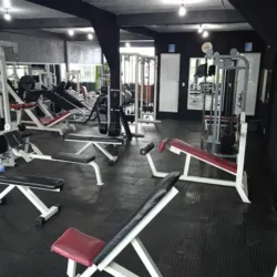 Gym Club Lions