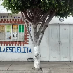 Papelería y Mercería La Escuelita