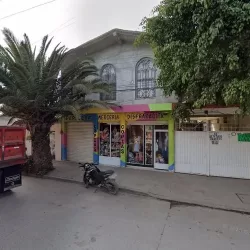 MERCERIA DISFRAZADITA