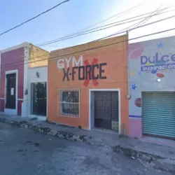 GYM XFORCE