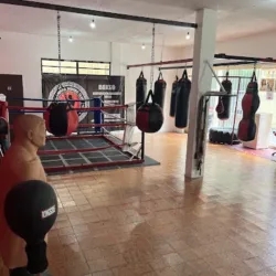 Albavera Boxing Club
