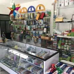 Papeleria y Merceria El Artesano
