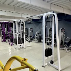 Bestias Gym