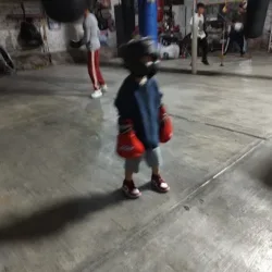 Gimnasio de Box