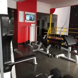 Sporting Gym Club