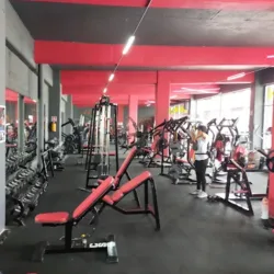 GYM ADDICTION FITNESS