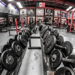 Classic Gym Toluca