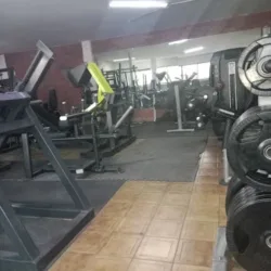 Olympus GYM