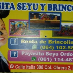 Brincolines Palau