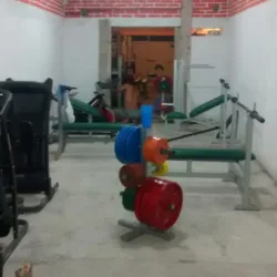 SHARK GYM