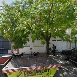 Newquintabani merceria