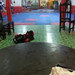 Tae Kwon Do Panamericano San Agustin