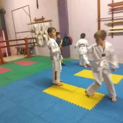 Dojo Aley´s Martial Arts System (Dojang AMAs Bio-Holistic Center)