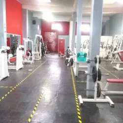VIVE GYM MADERO