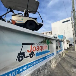 Carrito golf