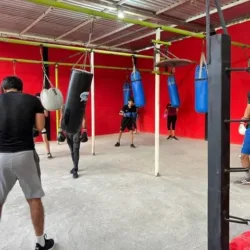 Escuela de box