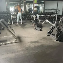 Body Fitness