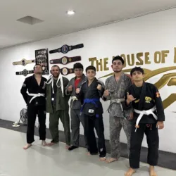 The House of Fighters