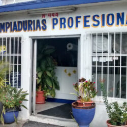 LIMPIADURIAS PROFESIONAL