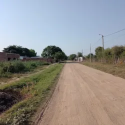 Campo Gallo
