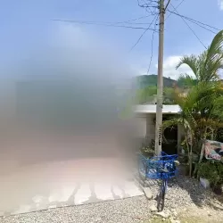 PIÑATERIA ENCINO TRUJILLO