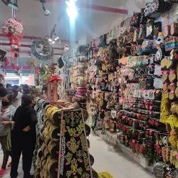 Bordados y Encajes 14 poniente