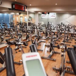 Move Wellness Ladies