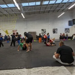 Jiu-Jitsu Brasileño Alliance