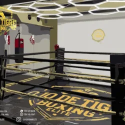 Ojo De Tigre Boxing Elite