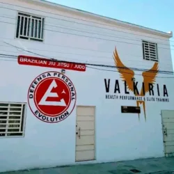 Evolution Defensa Personal