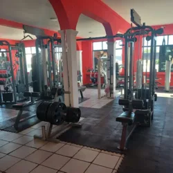 GYM RECONECTA