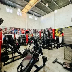 Home fitness Gym