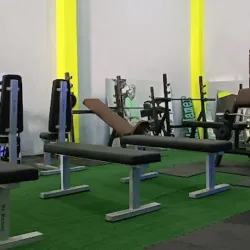 Gym Mr.Mamer