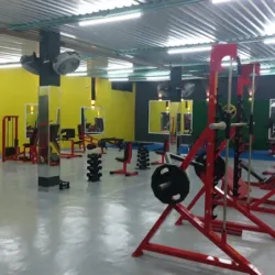 Woman Gym