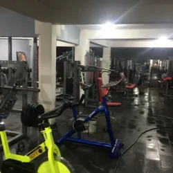 Bengal Tiger Gym