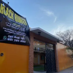 BLACK BUNKER