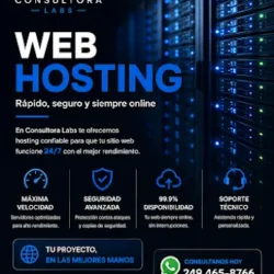 Consultora Labs Tandil