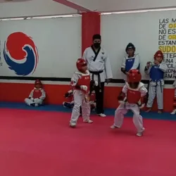 Panamericano Little Champions Taekwondo