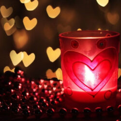 Amarres de amor - Maestro David