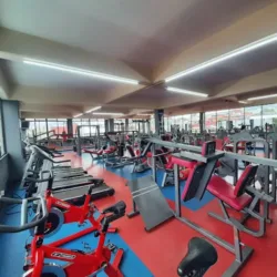 Squash "Insurgentes"