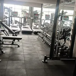 Fuerza Fit