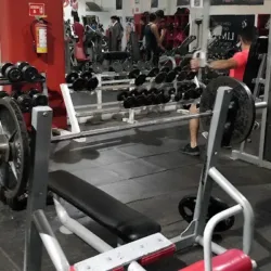 Lion's Gym