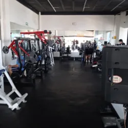 Cardio Beath Diamond