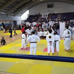 Gimnasio Norberto Mena Martínez