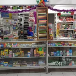 Ciber Papeleria Y Merceria " Flores "