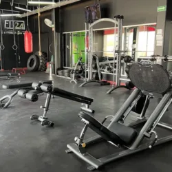 Fit24 Izcalli