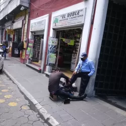 EL ROBLE